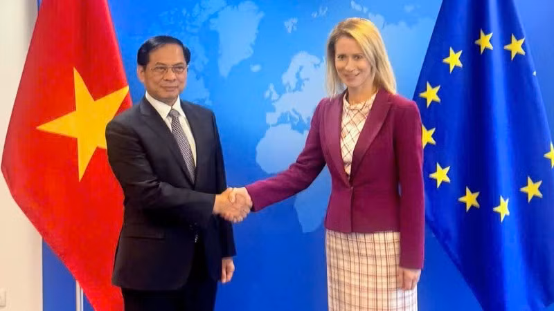 Phó Thủ tướng Chính phủ Bùi Thanh Sơn làm việc với Phó Chủ tịch Ủy ban châu Âu (EC) Kaja Kallas. (Ảnh: Bộ Ngoại giao)