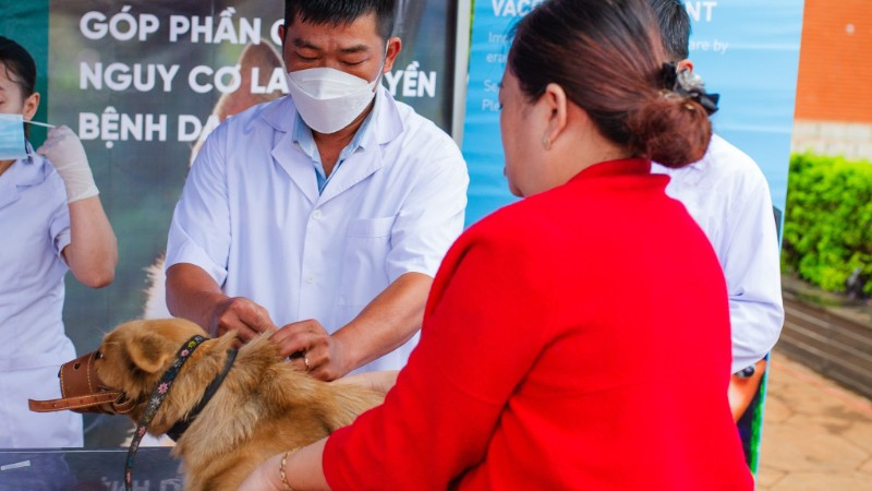 Tiêm phòng cho thú cưng để ngăn ngừa bệnh dại. (Ảnh minh họa: FOUR PAWS)