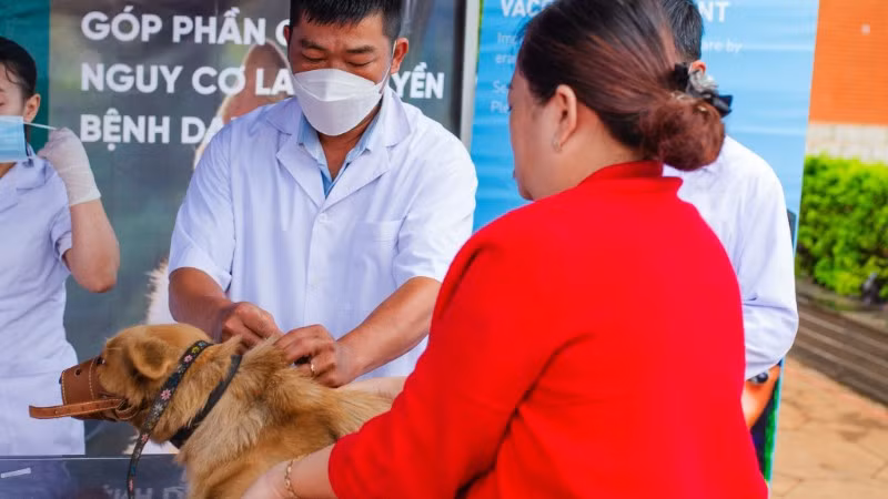 Tiêm phòng cho thú cưng để ngăn ngừa bệnh dại. (Ảnh minh họa: FOUR PAWS)