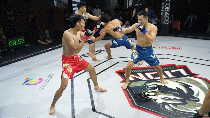 Một trận tranh tài của các võ sĩ tại loạt trận khai mạc LION Championship năm nay. (Ảnh: TTXVN)
