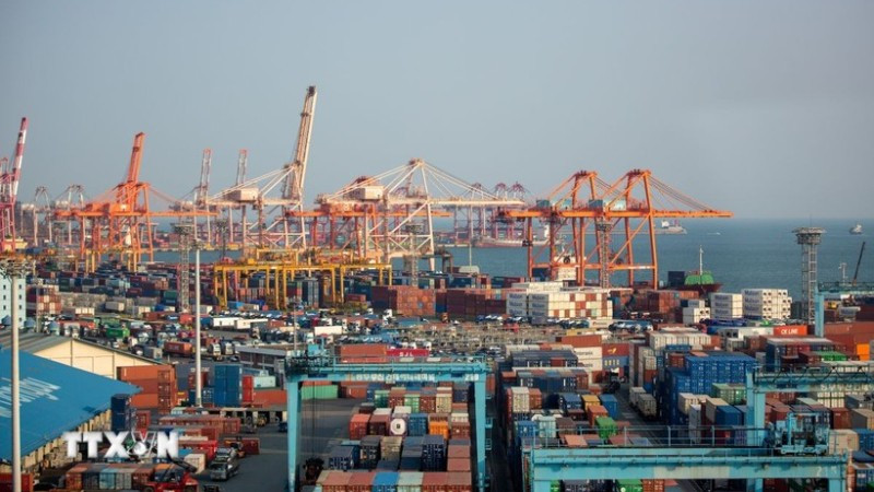 Cảng hàng hóa Busan, Hàn Quốc. (Ảnh: THX/TTXVN)