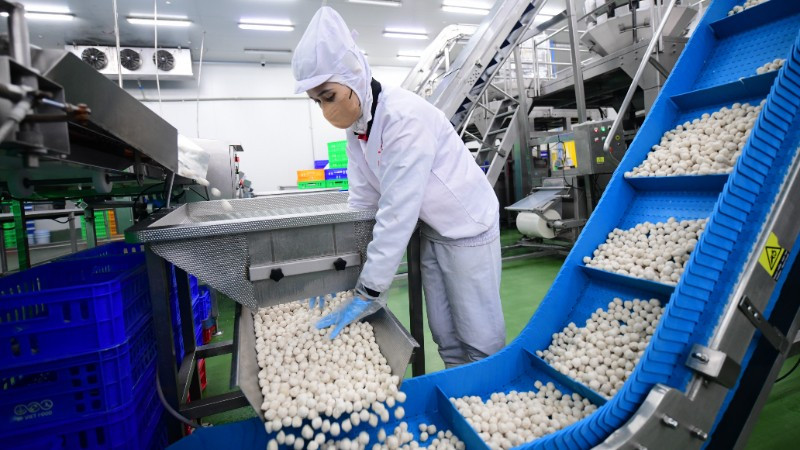 Người lao động tại Công ty LC Foods. (Ảnh nhandan.vn)