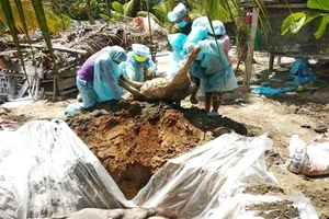 Lực lượng chức năng tiến hành công tác phòng, chống dịch ở Vĩnh Long. 