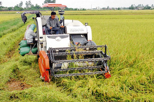 Nông nghiệp trong dòng chảy hội nhập
