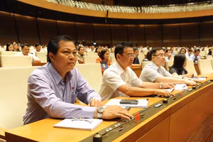 Các đại biểu tiến hành biểu quyết bằng hệ thống điện tử.