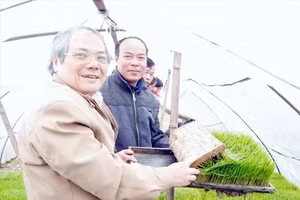 TS Lê Văn Tri thăm một số đơn vị sản xuất mạ khay do Công ty Cổ phần công nghệ sinh học chuyển giao công nghệ.