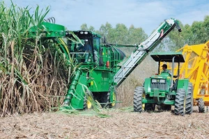 Cơ giới hóa liệu có giúp người trồng mía trước nguy cơ thua lỗ nặng?