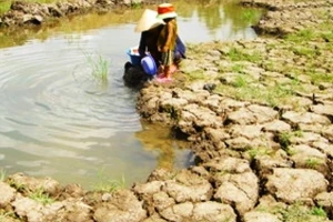 Xâm nhập mặn khu vực đồng bằng sông Cửu Long sẽ tăng trở lại vào giữa tháng 3 âm lịch.