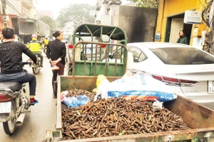 Những xe đạn phế liệu như thế này sẽ còn mãi ám ảnh người dân Quan Độ.