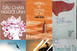 Lòng yêu nước không độc quyền