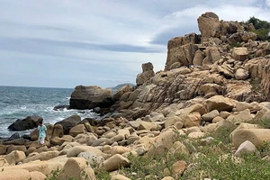 Bản hợp ca đá núi & đại dương