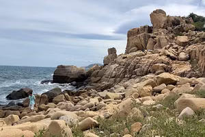 Bản hợp ca đá núi & đại dương