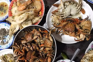 Bắt ba khía đêm