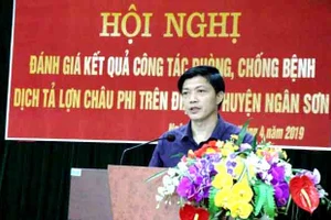Lãnh đạo huyện Ngân Sơn công bố hết dịch tả lợn châu Phi trên địa bàn.