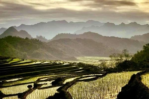 Những cánh ruộng bậc thang tạo nên những cung bậc mềm mại cho cảnh sắc. Ảnh: ĐỖ MỸ LY