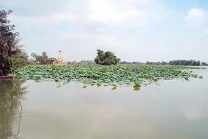 Thanh khiết Loa Hồ