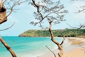 Côn Đảo, xa mà gần