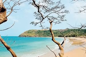 Côn Đảo, xa mà gần
