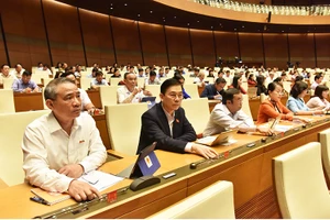 Đoàn đại biểu Quốc hội TP Đà Nẵng tham gia biểu quyết, chiều 25-11.