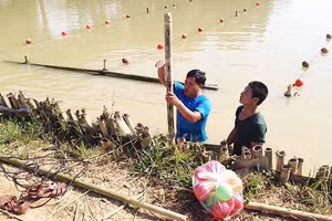 Xứng danh anh Bộ đội Cụ Hồ