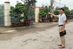 Nhiều hộ dân xây dựng công trình nhà ở, kinh doanh cây cảnh trên đất nông nghiệp ven đường số 6 qua xã Điền Xá.