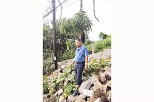 Người lính già Đỗ Xuân Cường nhớ lại những ngày chiến đấu ở Huế.