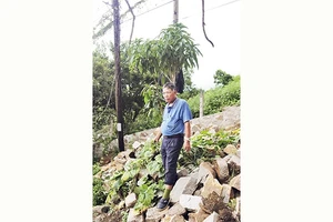 Người lính già Đỗ Xuân Cường nhớ lại những ngày chiến đấu ở Huế.