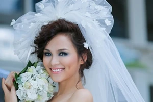 Dù có sai phạm, nhưng không đủ cơ sở pháp lý để cấm Diễm Hương tham gia biểu diễn nghệ thuật.