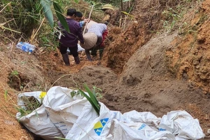 Cát được sử dụng để thấm dầu thải rồi mang đi xử lý.