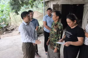 Lực lượng chức năng tiến hành tiêu hủy đàn lợn nhiễm dịch.