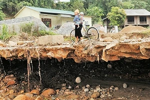 Trở tay khi còn kịp