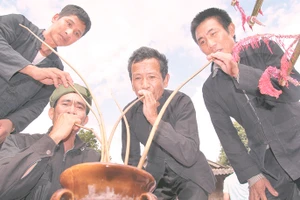 Mọi người vừa vui văn nghệ vừa uống rượu cần trong ngày Tết.