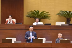 Phó Thủ tướng Chính phủ Phạm Bình Minh trả lời một số vấn đề đại biểu quan tâm về CPTPP sáng 5-11