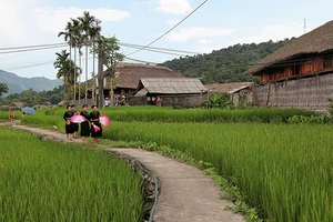 Hành trình trở về tuổi thơ