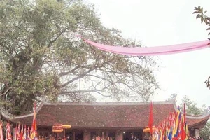 Ðền mẫu Âu Cơ (Hạ Hòa, Phú Thọ).