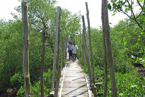 Trên đất mới Tân Bồi