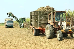 Bao giờ người trồng mía hết phải gặm nhấm vị đắng của cây mía.