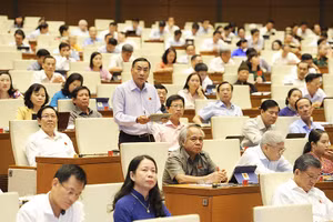 Đại biểu Quốc hội Phạm Văn Hòa (Đồng Tháp) tại phiên chất vấn ngày 5-6.