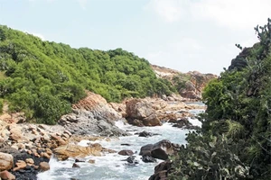 Phú Yên có nhiều đầm, vịnh, bãi tắm đẹp vẻ hoang sơ luôn thu hút khách du lịch.