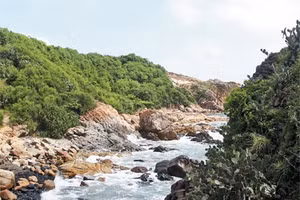 Phú Yên có nhiều đầm, vịnh, bãi tắm đẹp vẻ hoang sơ luôn thu hút khách du lịch.