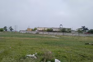 Khu đất giao cho Trường cao đẳng dân lập Công nghệ Bắc Hà bị bỏ hoang đã hơn 12 năm.