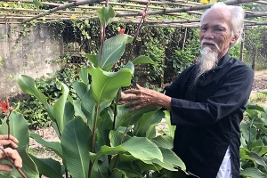 Đồng chí Lê Cơ.