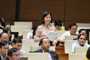 Đại biểu Bùi Thu Hằng, đoàn ĐBQH tỉnh Hòa Bình.