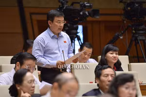 Đại biểu Quốc hội Phạm Trọng Nhân (Bình Dương) phát biểu tại phiên thảo luận ngày 15-11. Ảnh: Quochoi.vn