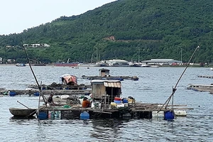 Nhiều hộ nuôi cá bè cố gắng vượt qua khó khăn để mưu sinh.