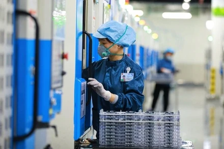 Công nhân SEVT không bị nợ lương, chậm lương với mức bình quân 15 triệu đồng/người/tháng.