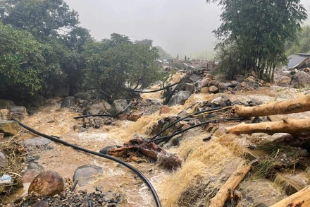 Nước lũ đổ về nhanh khiến nhiều bể nuôi cá bị phá hủy, toàn bộ cá giống và cá thương phẩm của người dân bị cuốn trôi. (Ảnh: nhandan.vn)