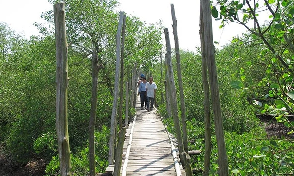 Khu du lịch sinh thái Cồn Vành (Thái Bình).