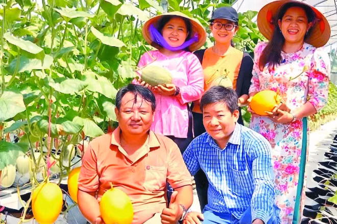 Hợp tác xã nông nghiệp Thuận Mỹ (Tây Ninh) ứng dụng công nghệ số vào sản xuất và kinh doanh mang lại hiệu quả kinh tế cao.