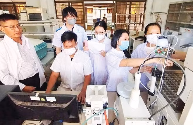 Tiến sĩ Bùi Đình Thạch (ngoài cùng bên trái) trao đổi với nhóm nghiên cứu về tác dụng của cây ngải trắng. (Ảnh: VAST)